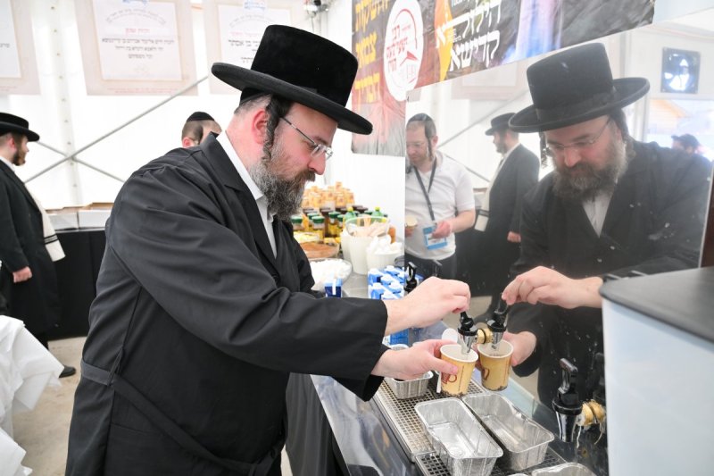 מאיר אדרי