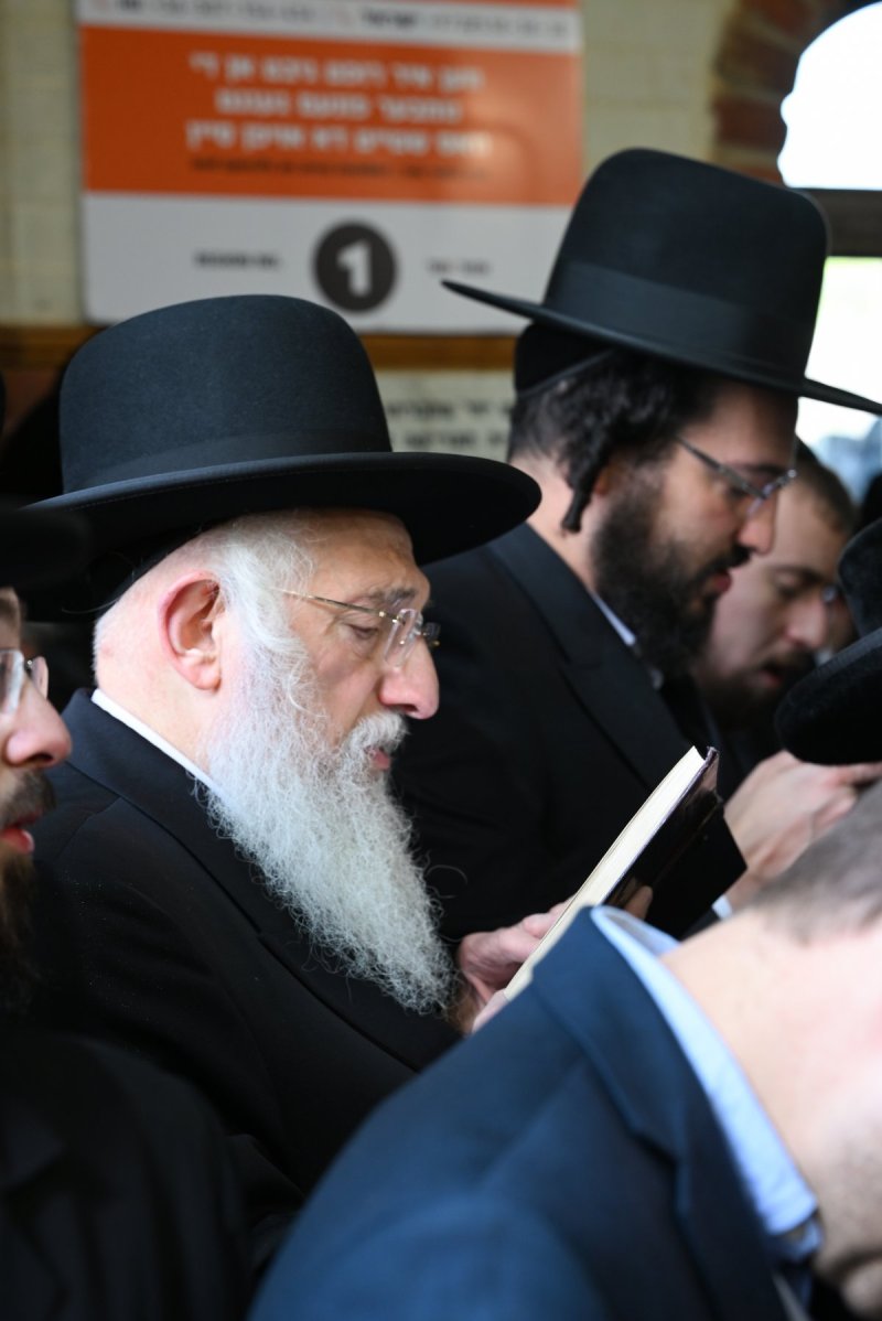 מאיר אדרי