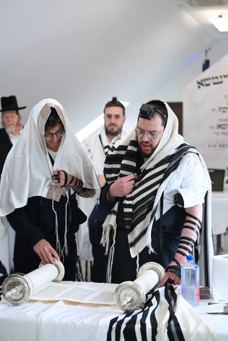 מאיר אדרי