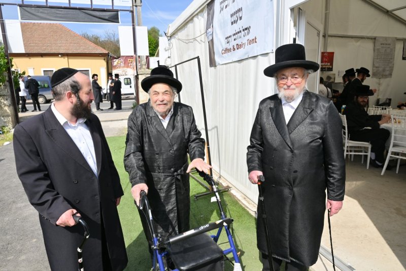 מאיר אדרי
