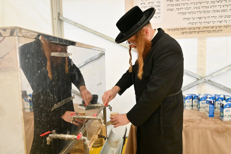 מאיר אדרי