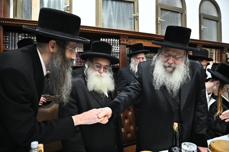 שוקי לרר