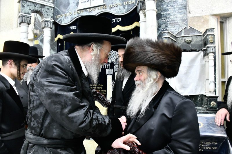 שוקי לרר