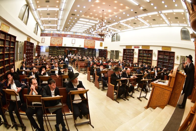 יוסי לוי