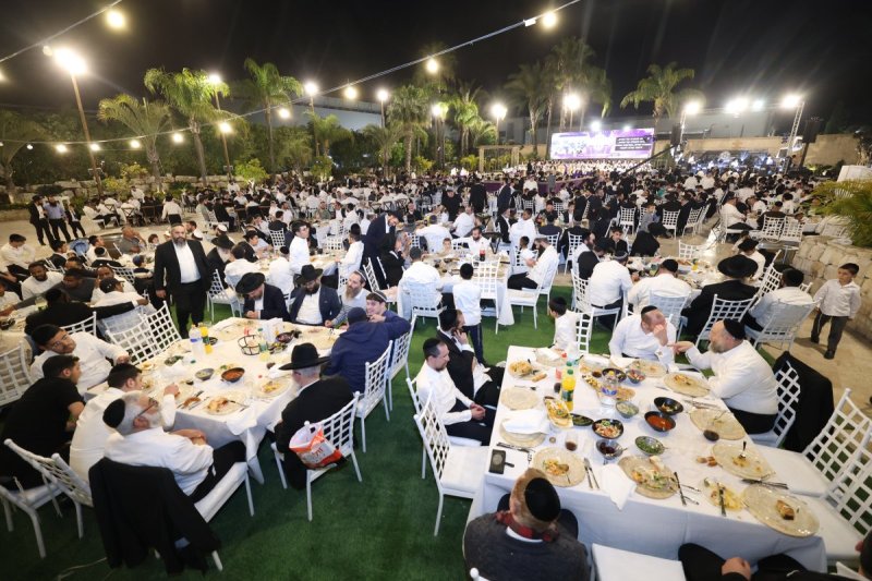 יעקב כהן
