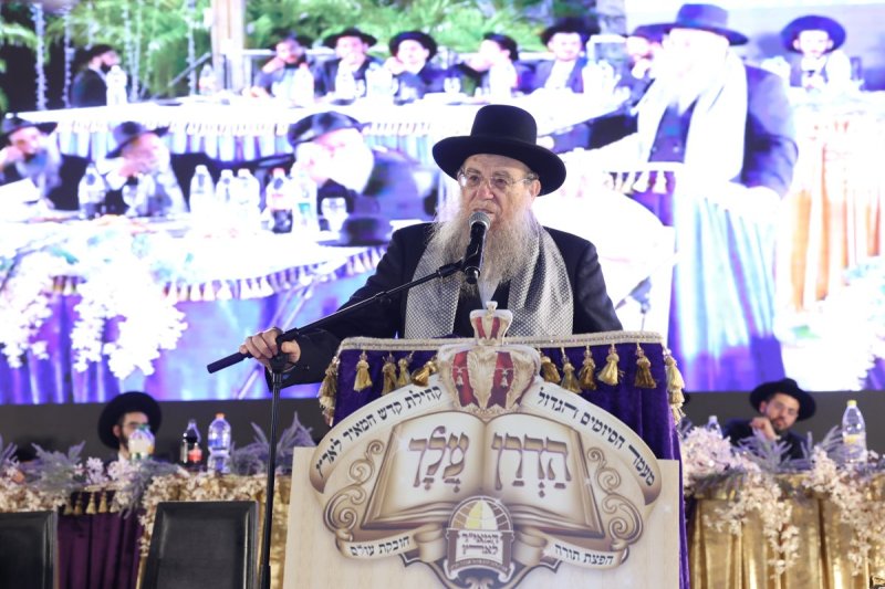 יעקב כהן