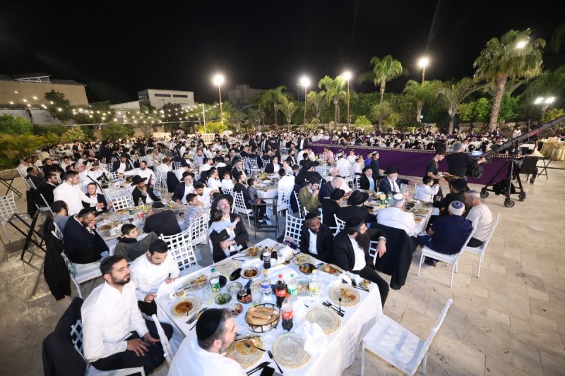 יעקב כהן