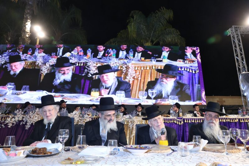 יעקב כהן