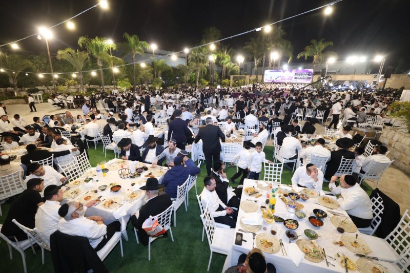 יעקב כהן