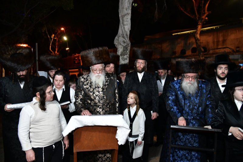 יוסי לוי