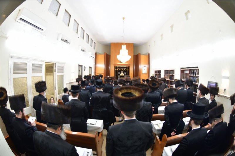 יוסי לוי