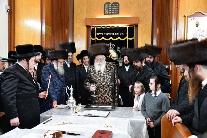 יוסי לוי