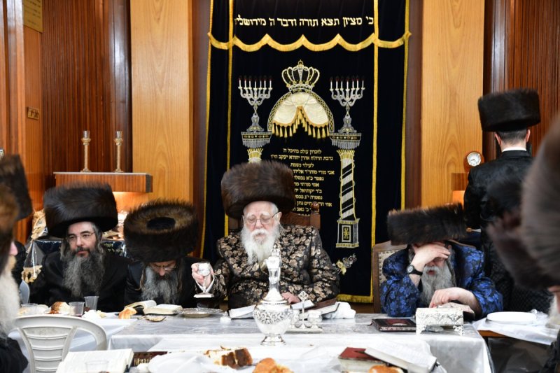 יוסי לוי
