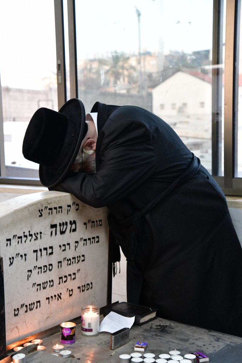 יוסי לוי