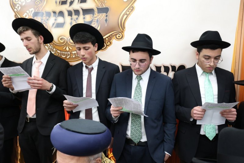 יעקב כהן