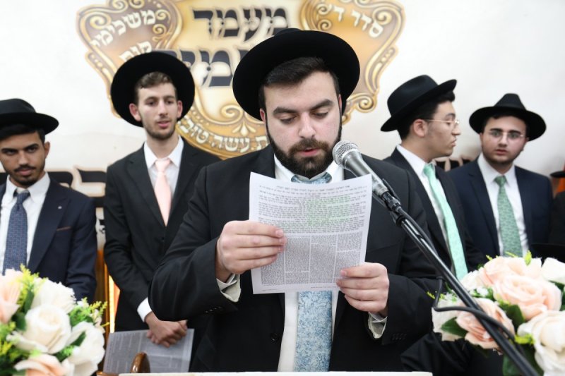 יעקב כהן