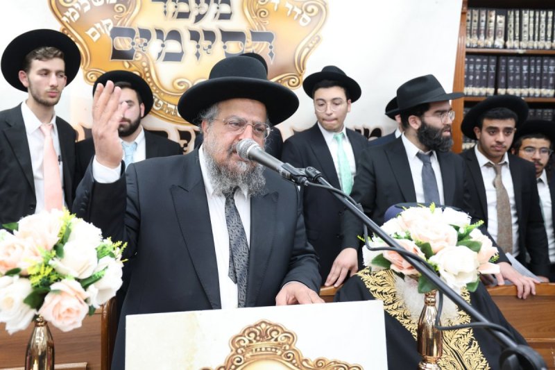 יעקב כהן