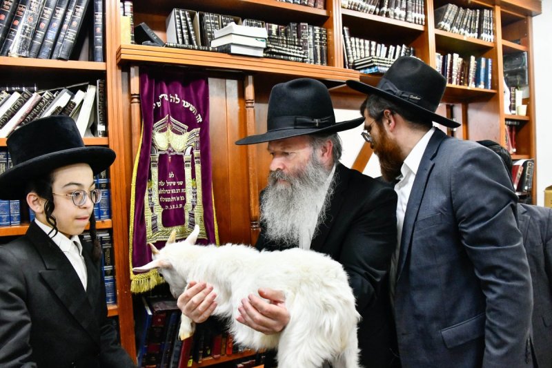 שוקי לרר