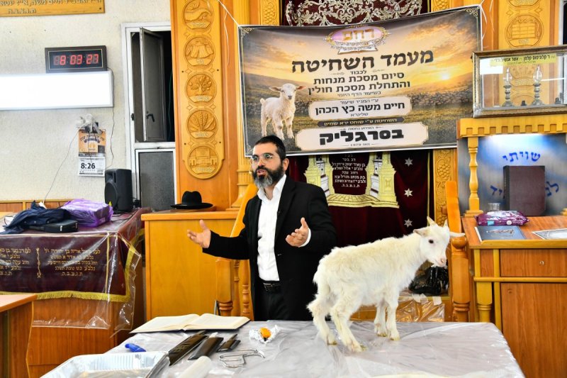 שוקי לרר