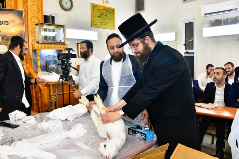 שוקי לרר