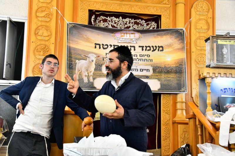 שוקי לרר