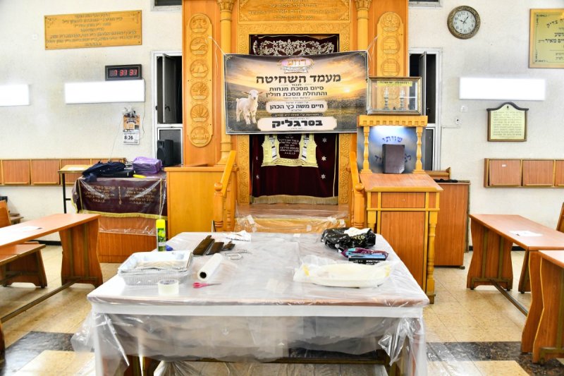 שוקי לרר