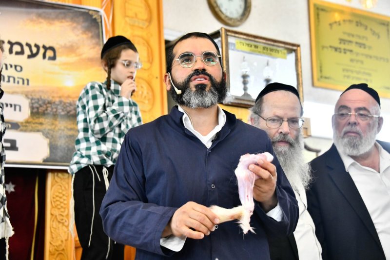 שוקי לרר