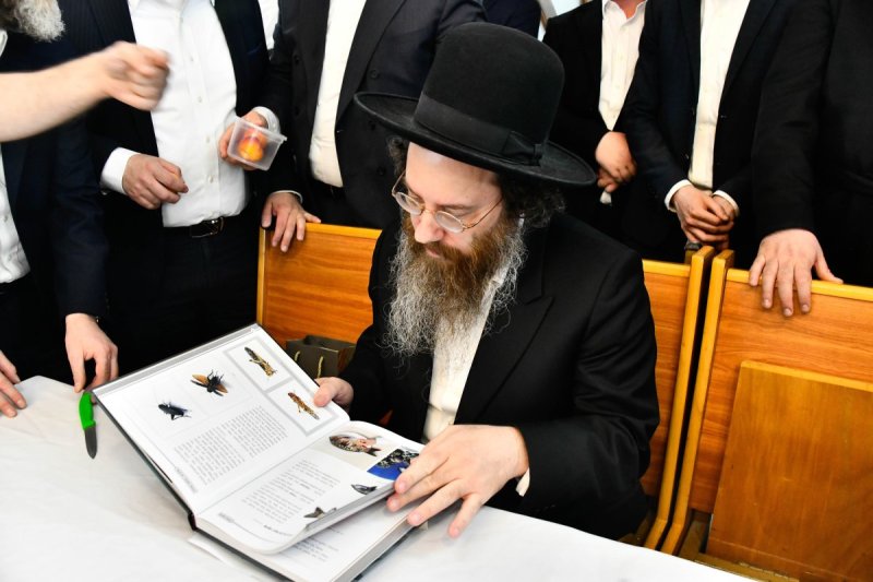 שוקי לרר