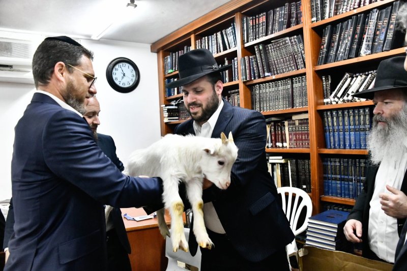 שוקי לרר