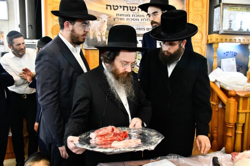 שוקי לרר