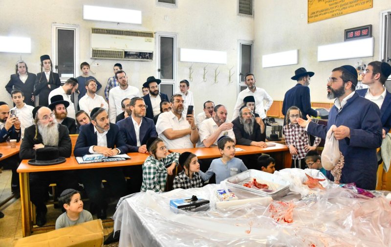 שוקי לרר