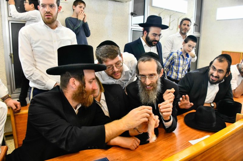שוקי לרר