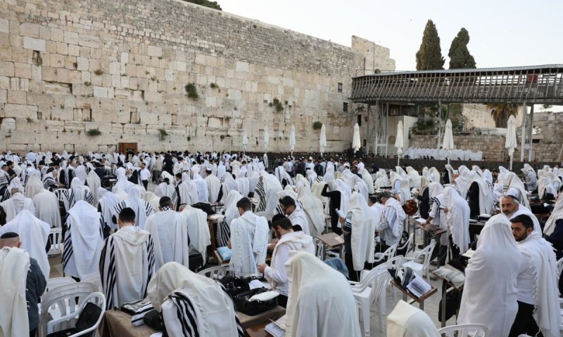 מזעזע: נשות הכותל חוללו פרובוקציה עם ספר תורה מונף אל על בביזיון | צפו