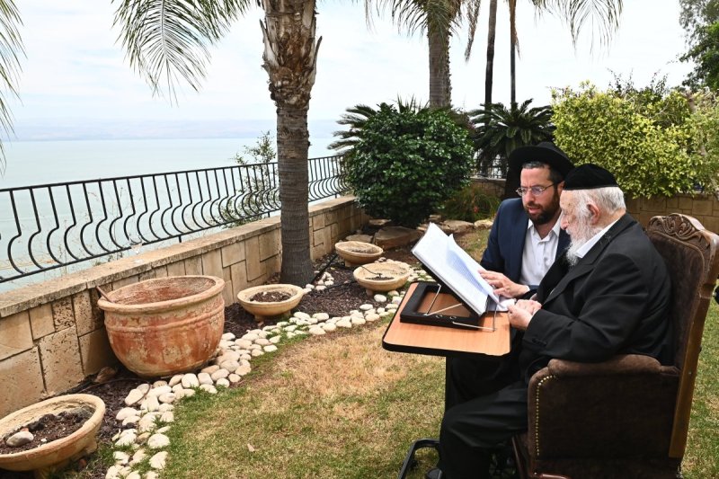 שוקי לרר