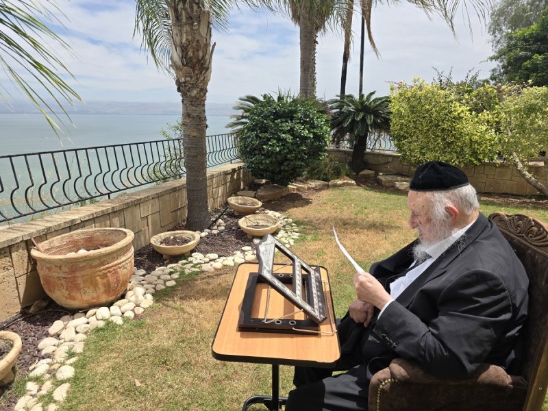 שוקי לרר