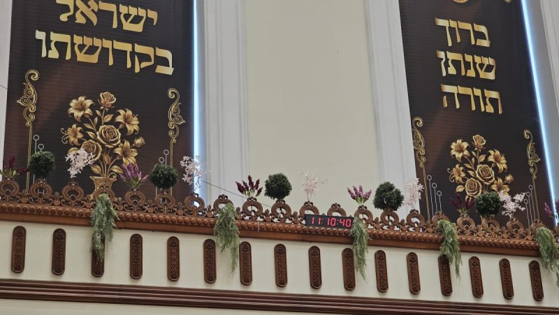 באדיבות המצלם