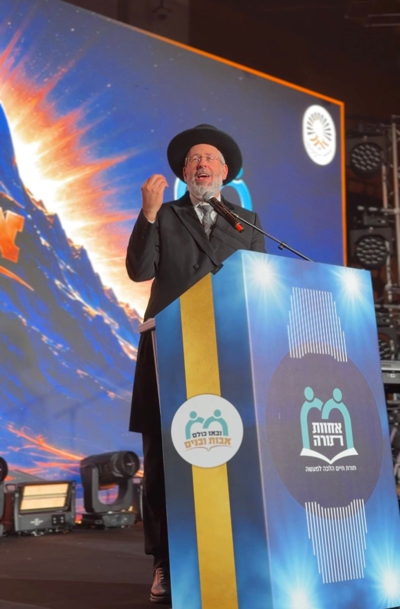 מאיר זלזניק