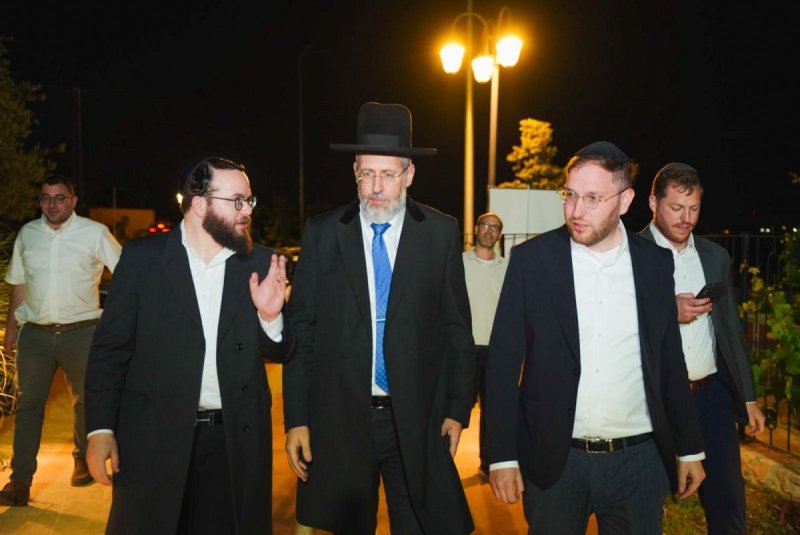 מאיר זלזניק