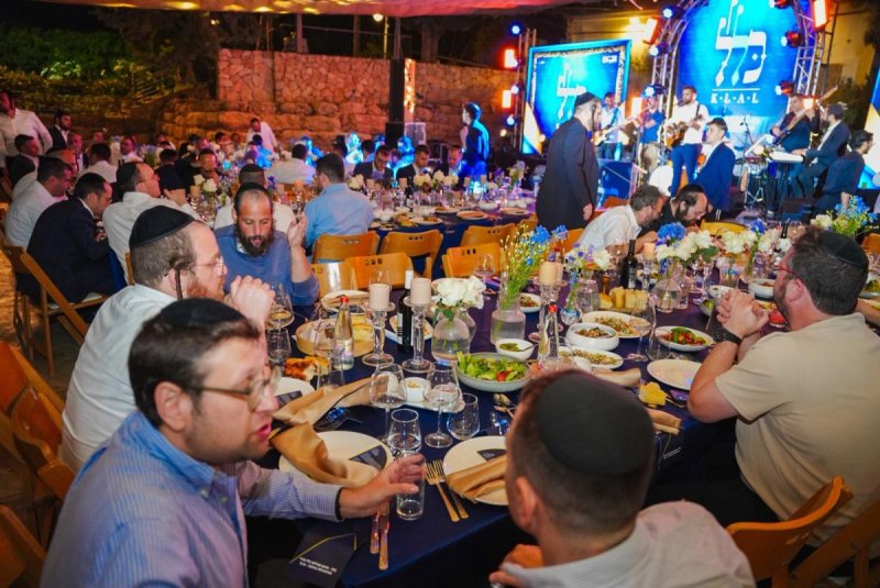 מאיר זלזניק