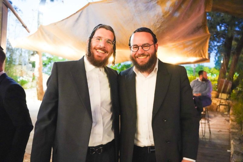 מאיר זלזניק