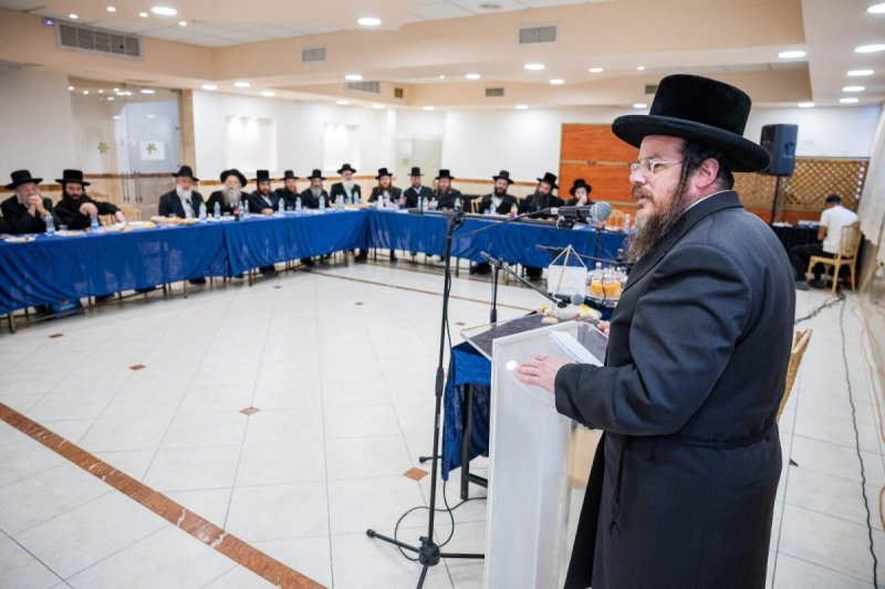 שתילים