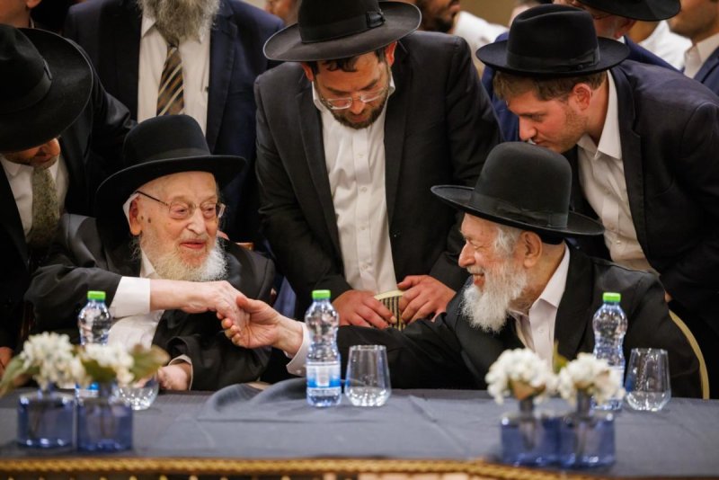 דניאל נפוסי ומאיר זלזניק