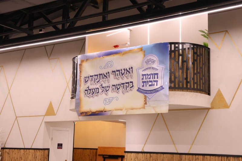 צ. י. 