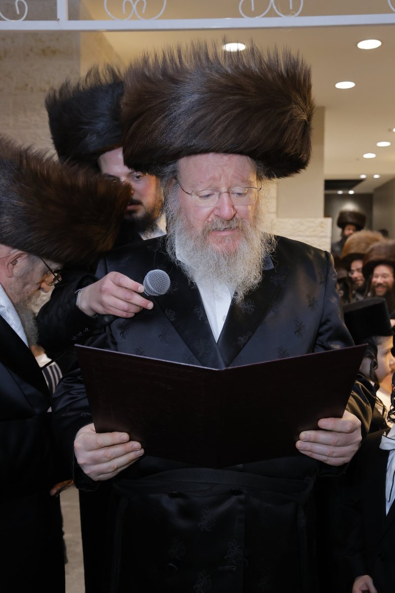 ב. מיכאלי וא.שטול