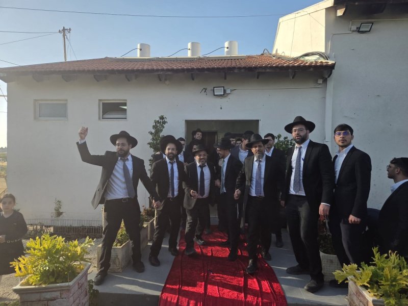 שימי קליין