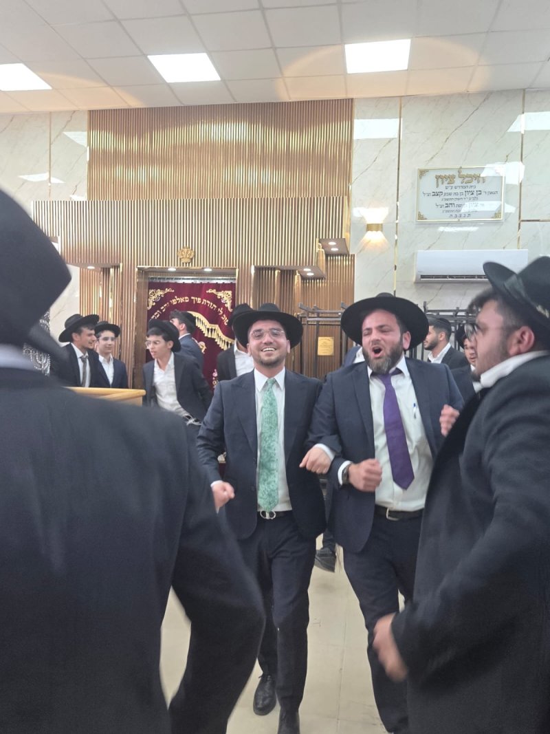 שימי קליין