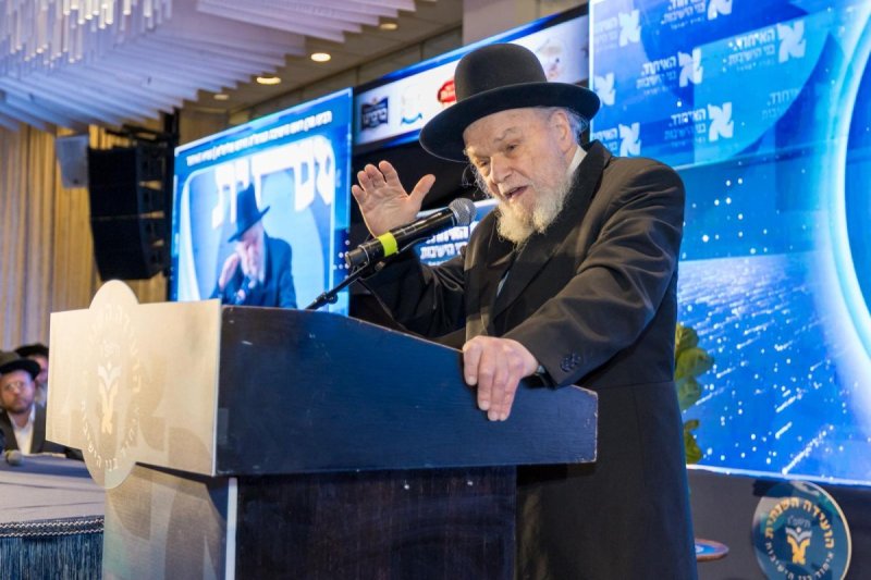 מאיר זלזניק