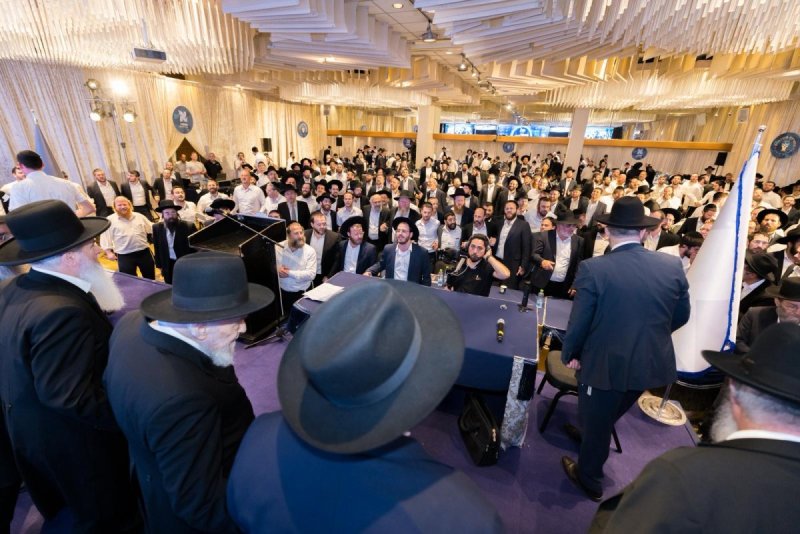 מאיר זלזניק