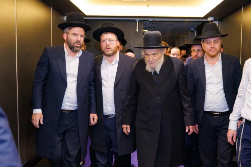 מאיר זלזניק