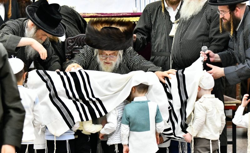 שוקי לרר